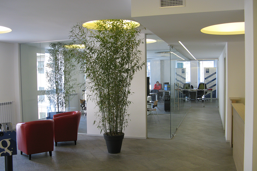 Architettura